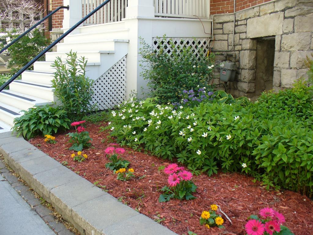 Albert House Inn Ottawa Ngoại thất bức ảnh